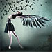Raven Girl / Symphony in C