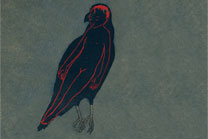 Raven Girl
