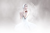Swan Lake