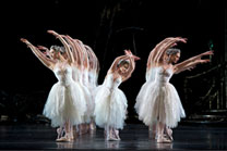 Swan Lake -Welcome Performance