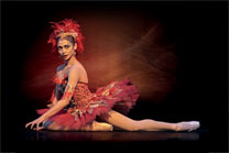 The Firebird
