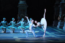 The Sleeping Beauty